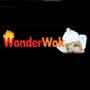 Wonder Wok 