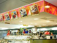 Brunella - Aeroporto