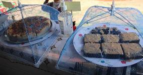 DNA Vegan Food Truck