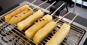 DNA Vegan Food Truck