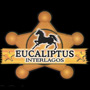 Eucaliptus
