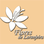 Flores de Laranjeira