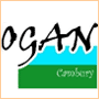 Ogan