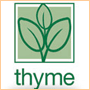 Thyme