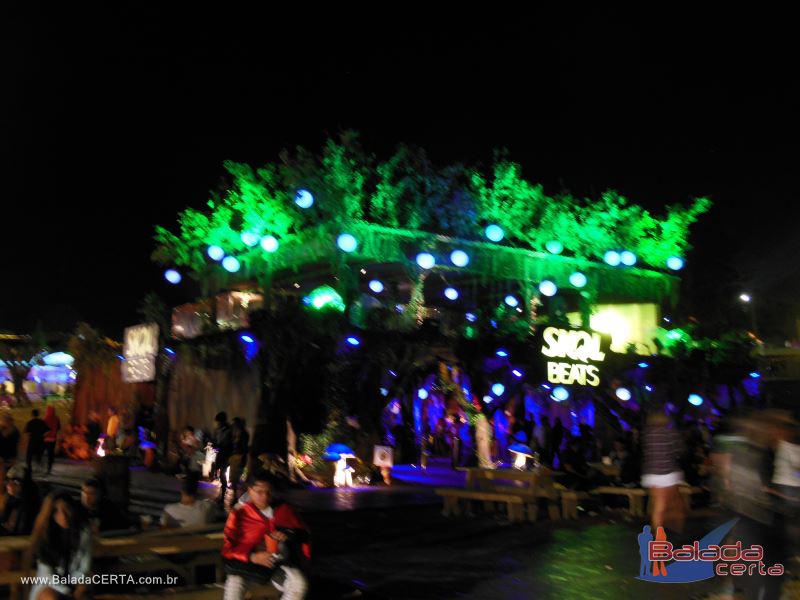 Balada: Fotos do festival Tomorrowland Brasil 2015 em Itu - So Paulo