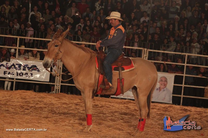 Balada: Bras�lia Rodeio Show - Parque Le�o - DF