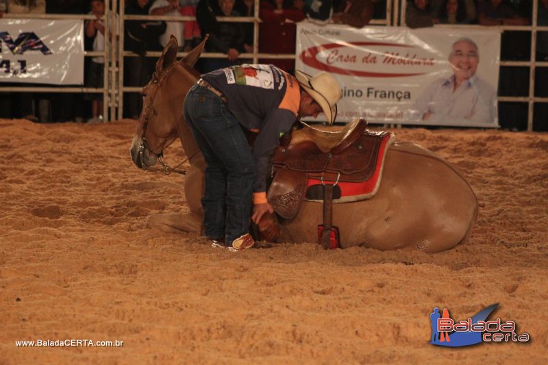 Balada: Bras�lia Rodeio Show - Parque Le�o - DF