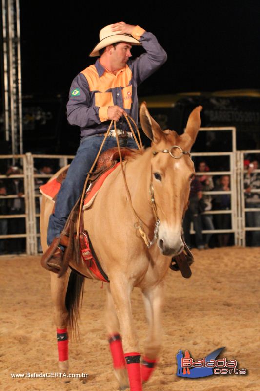 Balada: Bras�lia Rodeio Show - Parque Le�o - DF