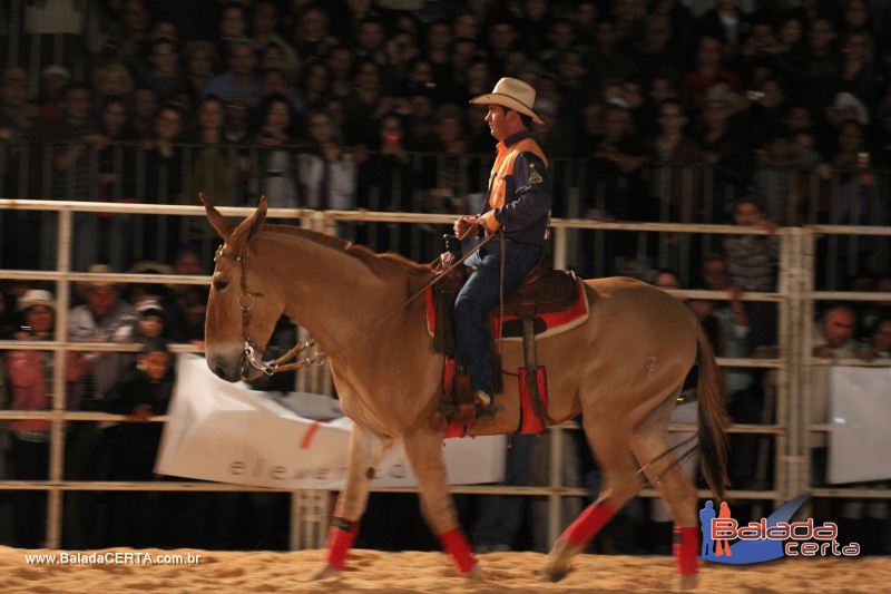 Balada: Bras�lia Rodeio Show - Parque Le�o - DF