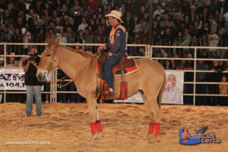 Balada: Bras�lia Rodeio Show - Parque Le�o - DF