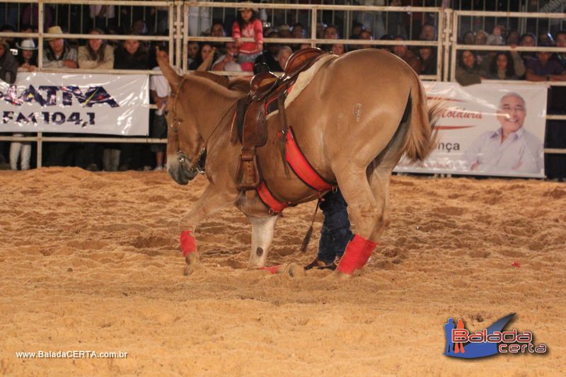 Balada: Bras�lia Rodeio Show - Parque Le�o - DF