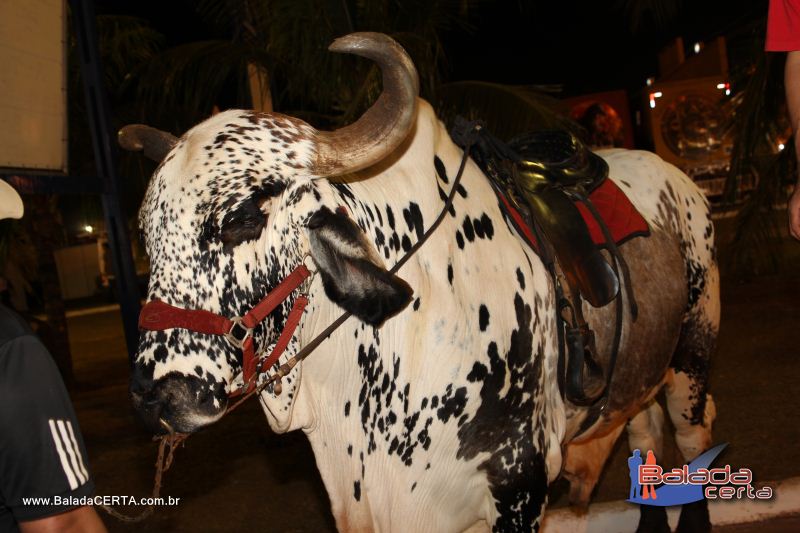 Balada: Festa do Peo Barretos 2011 - Excurso Os Lendrios - Barretos - SP